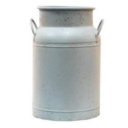 Krémová dekorativní konev s včelkou Bee - Ø 19*28 cm