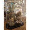 Hnědo-zlatá dekorace socha hlava Buddha - 12*9*22 cm