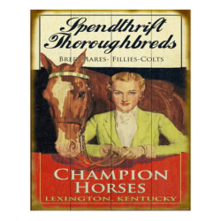 Nástěnná kovová cedule Champion Horses - 20*1*25 cm