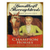 Nástěnná kovová cedule Champion Horses - 20*1*25 cm