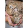 Vánoční dekorace dřevěná koule s popraskáním - Ø 12*12 cm