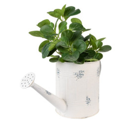 Béžová antik dekorační plechová retro konev Fun Antique - 44*17*20 cm