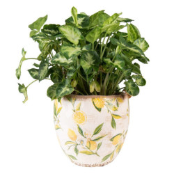 Béžový keramický obal na květináč s citróny Lemonio M - Ø18*17 cm