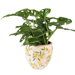 Béžový keramický obal na květináč s citróny Lemonio S - Ø 13*12 cm