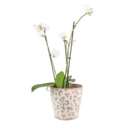 Béžový antik keramický obal na květináč se zelenými květy L - Ø 17*16 cm