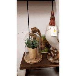 Dřevěný podnos se skleněným krytem - 16*13*20 cm