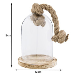 Dřevěný podnos se skleněným krytem - 16*13*20 cm