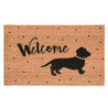Kokosová rohožka Welcome - 75*45*1 cm
