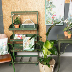 Prostírání 6ks Jungle Botanics - 48*33 cm