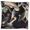 Černý sametový polštář s výplní Toucan - 45*45cm
