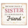 Kovová nástěnná cedulka Sister Friend - 15*13 cm