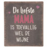 Nástěnná kovová cedule Liefste Mama - 13*15 cm