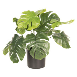 Umělá dekorační rostlina Monstera Deliciosa - 42*42*40 cm