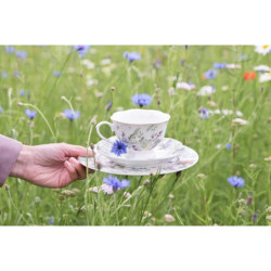 Porcelánový šálek s podšálkem Butterfly  - Ø 15*7 cm / 0,22L