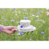 Porcelánový šálek s podšálkem Butterfly  - Ø 15*7 cm / 0,22L