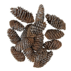 15 ks hnědo stříbrné dekorativní šišky - 7/9 cm