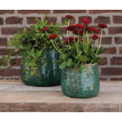 Zelený květináč Camil mini s květy - Ø 13*11 cm