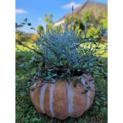 Obal na květináč ve tvaru dýně Pumpkin - Ø15*9 cm
