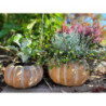 Obal na květináč ve tvaru dýně Pumpkin - Ø15*9 cm