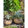 Obal na květináč ve tvaru dýně Pumpkin - Ø15*9 cm
