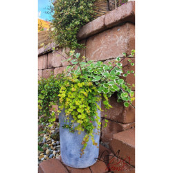 Šedý antik cementový vysoký květináč - Ø 24*39 cm